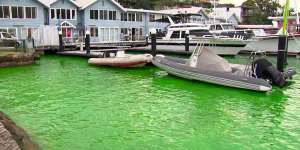 Neon green water was spotted in the harbour at Kirribilli on Wednesday.