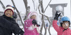 ‘What snow lovers want to see’:Victorian alps set for winter wonderland