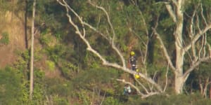 Woman falls 30 metres from lookout near Mount Tamborine