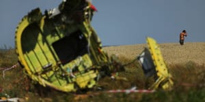 Media identifies senior Russian official in MH17 probe