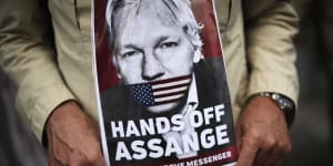 Secret witnesses to testify about plot to'kidnap or poison'Assange