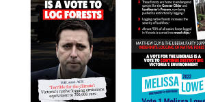 A flyer being letterboxed by teal campaigners in the state seat of Hawthorn.