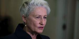 Dr Kerryn Phelps said the demonstration would help dispel misconceptions about the pill-testing process. 