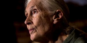 Dr Jane Goodall has passed the baton over to the next generation of conservationists.
