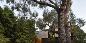 How a Robin Boyd house came to the rescue of a working couple