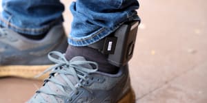 GPS tracking devices could increase rates of vigilantism,the Queensland government has been warned.