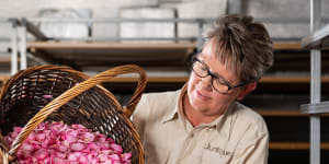 At the Jurlique flower farm in the Adelaide Hills,pink roses are harvested by hand and then dried.