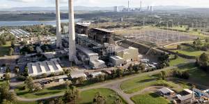 AGL and Cannon-Brookes want to make solar panels at former coal power station