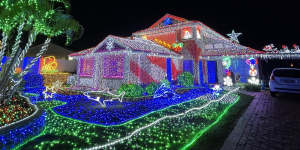 This home had set up 100,000 LED Christmas lights and a light “river” filled with animals.