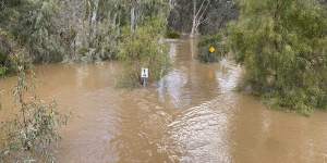 Parts of Mildura told to evacuate as swollen Murray River rises