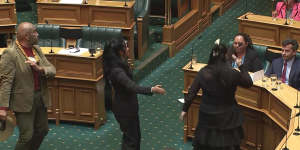 Haka interrupts NZ parliament,MPs kicked out,as treaty bill arrives