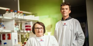 Professor James Beeson and Professor Heidi Drummer are keen to translate insights gleaned from their research into vaccines.