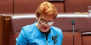 One Nation leader Pauline Hanson.