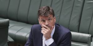 Minister for Energy Angus Taylor during debate in the House of Representatives on Thursday.