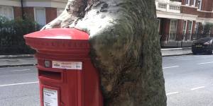 Red alert:A postbox in West Kensington,London.