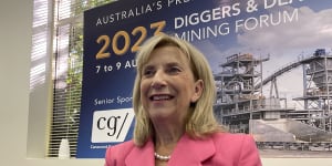 Lynas Rare Earths chief executive Amanda Lacaze says buyout interest has come from North America and Asia.