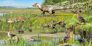 Fossils of megaraptors,a carnivorous dinosaur that inhabited parts of South America during the Cretaceous period some 70 million years ago,were found.