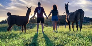 Forget Peru:This Queensland farm offers an incredibly rare experience