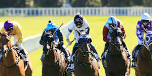 Nine races are scheduled at Wellington on Sunday with the Wellington Cup the feature event.