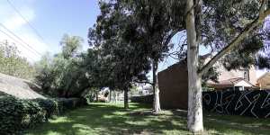 Eddy Court Reserve was part of the area being considered for the affordable housing development.