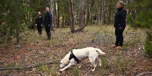 Police use a cadaver dog during the search for the body Samantha Murphy near Enfield State Park on Thursday. 