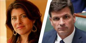 Naomi Wolf and Angus Taylor both studied at Oxford,but Wolf says not at the same time,as Taylor asserted in his first speech to Parliament. 