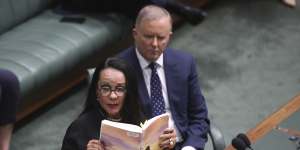 Labor’s Indigenous Australians spokeswoman Linda Burney says a referendum on constitutional recognition can succeed.