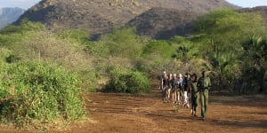 Walking with wildlife in Kenya is the ultimate adventure