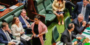Greens MP Gabrielle de Vietri was asked to leave the floor of parliament last week for wearing the keffiyeh. 
