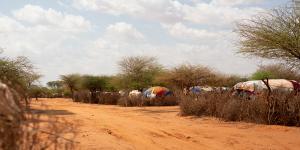 A camp for internally displaced people at Khaatumo in Somaliland.