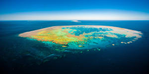 The Great Barrier Reef around Hamilton Island has been unaffected by the bleaching that has hit other parts of the natural wonder.