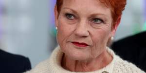 Pauline Hanson said she'd"kick"the nine-year-old girl"up the backside"for her actions. 