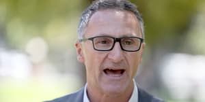 'We let people down':Greens leader downplays bullying concerns