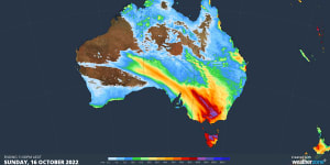 Forecast accumulated rain over Australia this week. 