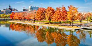 Leaf peeping season runs from April to October in Montreal.