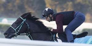 Eyes of the racing world on Japanese filly in $10 million Golden Eagle