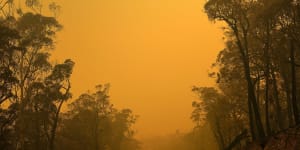 Frantic final moments of South Coast resident fighting bushfire ‘beast’