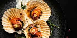 Scallops with finger lime,green ant butter and warrigal greens.
