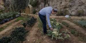 Doron Spielman,vice president of the City of David Foundation,in the demonstration farm that is part of the tourist development. 