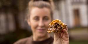 WildPies chef Jo Barrett says eating pies made from feral animals will help the environment.