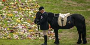 Emma,the Queen’s pony,stands as the procession passes by.