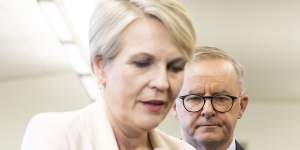 Water Minister Tanya Plibersek and Prime Minister Anthony Albanese.