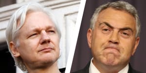 Government right to avoid megaphone diplomacy on Assange,Joe Hockey says