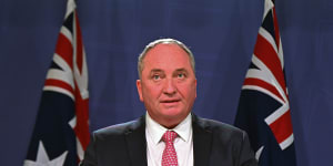 Deputy Prime Minister Barnaby Joyce speaks to the media during a press conference in Sydney on Saturday morning.