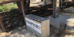 Sorry Samphire,I think we need to break up. It’s not Rottnest or me – it’s you!