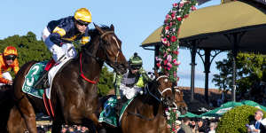 Tofane is one of the fancies,especially with Craig Williams in the saddle.