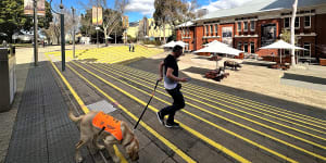 More trees,less crime:The Perth Cultural Centre finally gets a plan