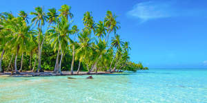 Palm-tree perfection … Taha’a,French Polynesia. 