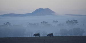 Drought-stricken areas get highest 24-hour rainfall in Queensland