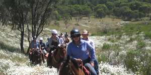 Steady pace ... Reynella riders among wildflowers in the Kosciuszko National Park.